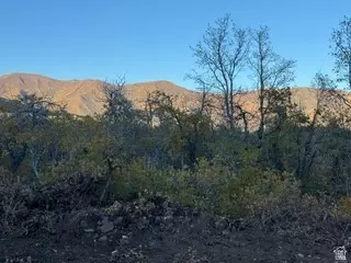 10 E Spring Mountain Dr #10, Springville, UT 84663 photo 24