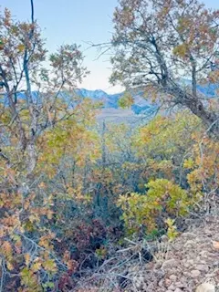 10 E Spring Mountain Dr #10, Springville, UT 84663 photo 40
