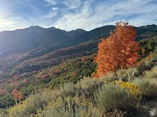 10 E Spring Mountain Dr #10, Springville, UT 84663 photo 55