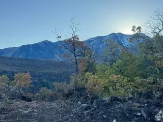 10 E Spring Mountain Dr #10, Springville, UT 84663 photo 27