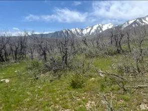 10 E Spring Mountain Dr #10, Springville, UT 84663 photo 59