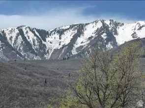 10 E Spring Mountain Dr #10, Springville, UT 84663 photo 3