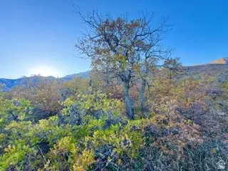10 E Spring Mountain Dr #10, Springville, UT 84663 photo 11