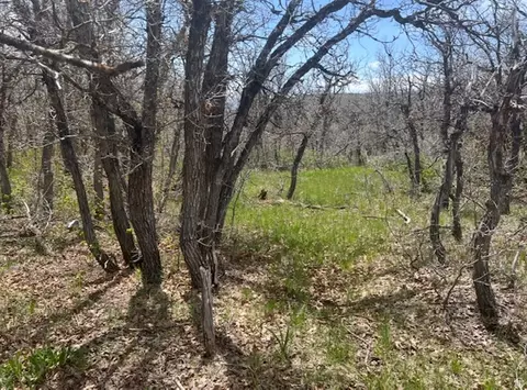 10 E Spring Mountain Dr #10, Springville, UT 84663 photo 61