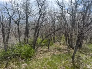 10 E Spring Mountain Dr #10, Springville, UT 84663 photo 60