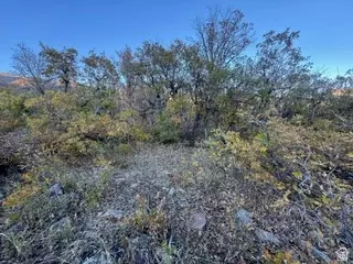 10 E Spring Mountain Dr #10, Springville, UT 84663 photo 14