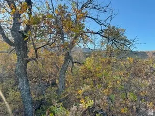 10 E Spring Mountain Dr #10, Springville, UT 84663 photo 7