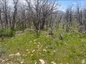 10 E Spring Mountain Dr #10, Springville, UT 84663 photo 58
