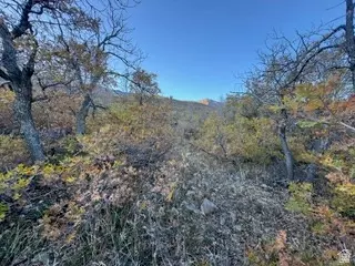 10 E Spring Mountain Dr #10, Springville, UT 84663 photo 13