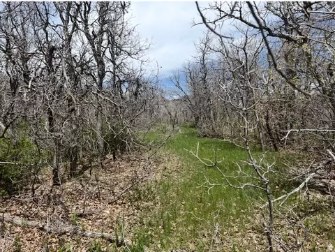 10 E Spring Mountain Dr #10, Springville, UT 84663 photo 62