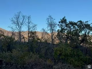 10 E Spring Mountain Dr #10, Springville, UT 84663 photo 33