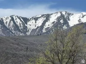 10 E Spring Mountain Dr #10, Springville, UT 84663 photo 5