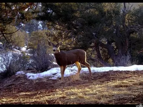Undisclosed, Duchesne, UT 84021
