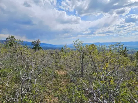 1246 E North Fork Rd S #1246, Fairview, UT 84629