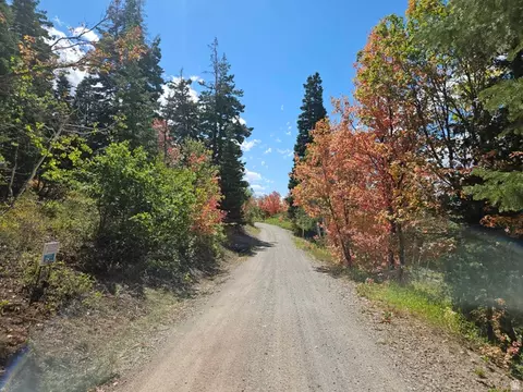 1246 E North Fork Rd S #1246, Fairview, UT 84629