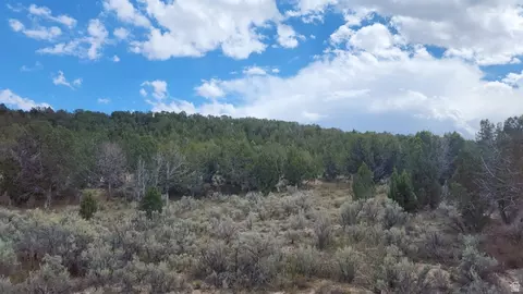 Undisclosed, Indianola, UT 84629
