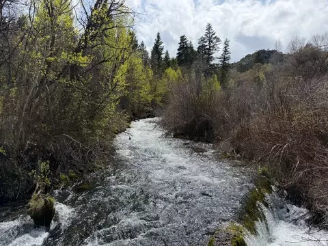 1300 W Swan Creek Spring Rd, Garden City, UT 84028
