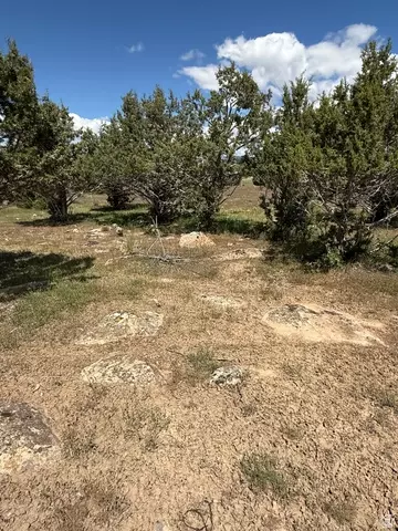 17 Old Highway 89 #17, Spring City, UT 84662 photo 10