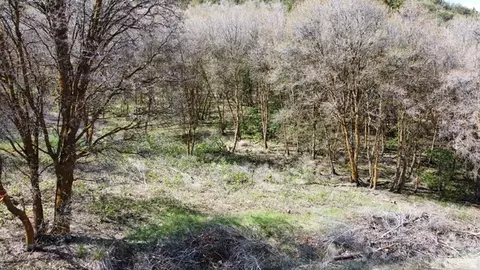 Undisclosed, Grace, ID 83241 photo 9