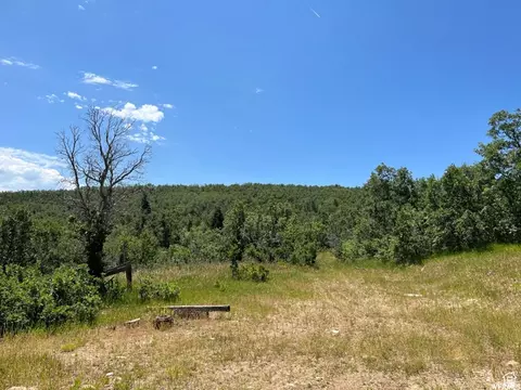Undisclosed, Springville, UT 84663