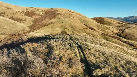 Undisclosed, Preston, ID 83263
