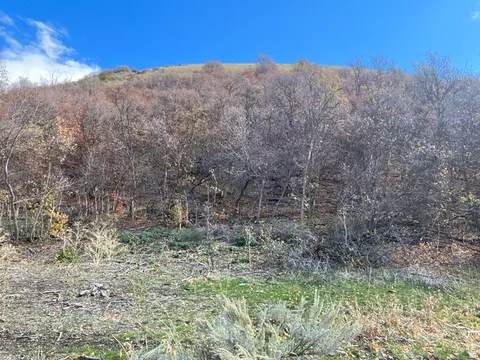 Undisclosed, Preston, ID 83263 photo 33