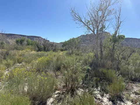 1950 E Highway 24, Torrey, UT 84775 photo 15