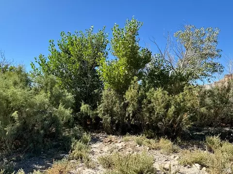 1950 E Highway 24, Torrey, UT 84775 photo 13