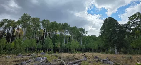 Undisclosed, Annabella, UT 84711