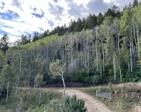 Undisclosed, Tabiona, UT 84072 photo 12