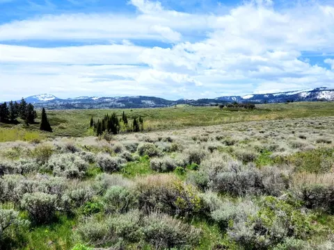 1664 Mill Canyon Rd, Montpelier, ID 83254