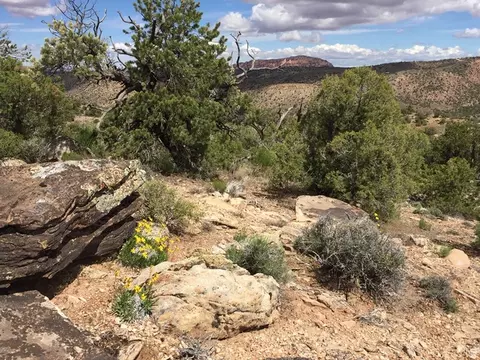 57 W Kane Cyn #17, Moab, UT 84532 photo 2