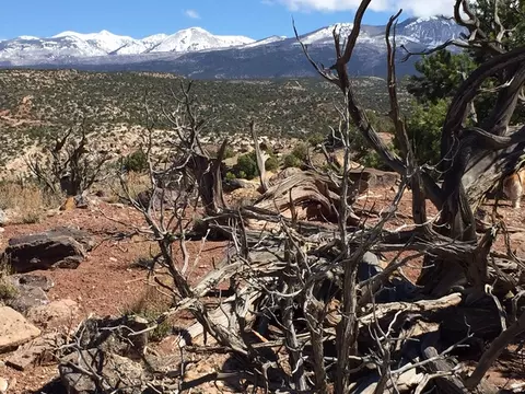 57 W Kane Cyn #17, Moab, UT 84532 photo 3