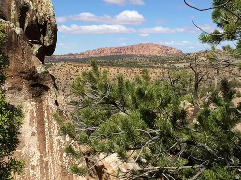 57 W Kane Cyn #17, Moab, UT 84532 photo 6