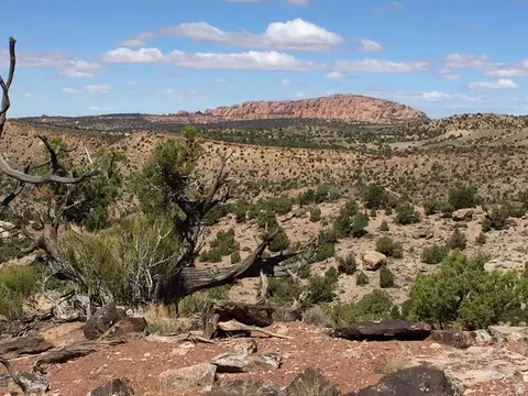 57 W Kane Cyn #17, Moab, UT 84532 photo 4