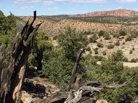 57 W Kane Cyn #17, Moab, UT 84532 photo 5