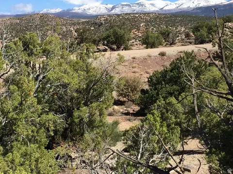 57 W Kane Cyn #17, Moab, UT 84532 photo 10