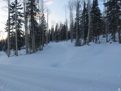 3 Tushar Mountain Ests #3, Beaver, UT 84713 photo 13