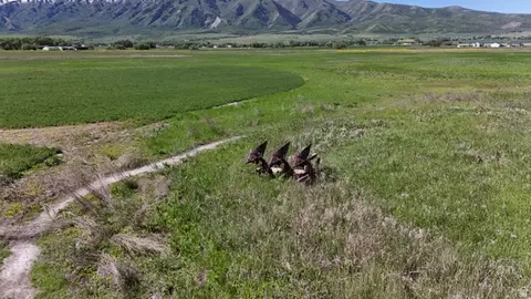 320 N 5400 W, Mendon, UT 84325 photo 38