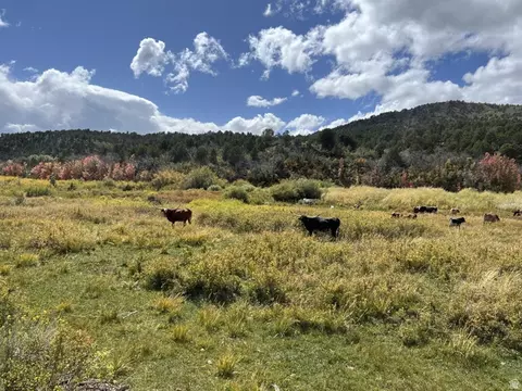 39 Upper Lick Rd #39, Kanab, UT 84741 photo 24