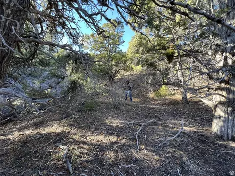 39 Upper Lick Rd #39, Kanab, UT 84741 photo 21