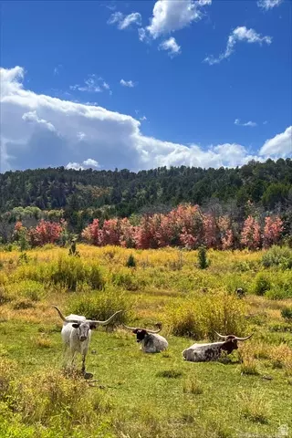 39 Upper Lick Rd #39, Kanab, UT 84741 photo 41