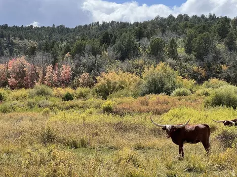 39 Upper Lick Rd #39, Kanab, UT 84741 photo 25