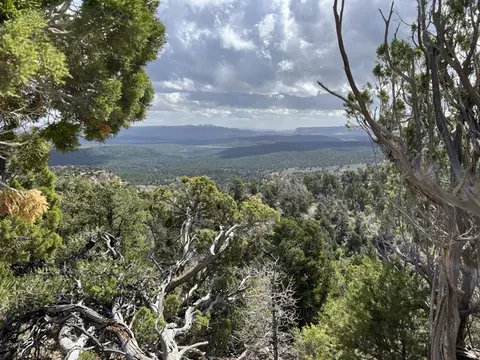 39 Upper Lick Rd #39, Kanab, UT 84741 photo 4