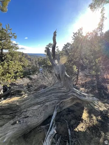 39 Upper Lick Rd #39, Kanab, UT 84741 photo 19