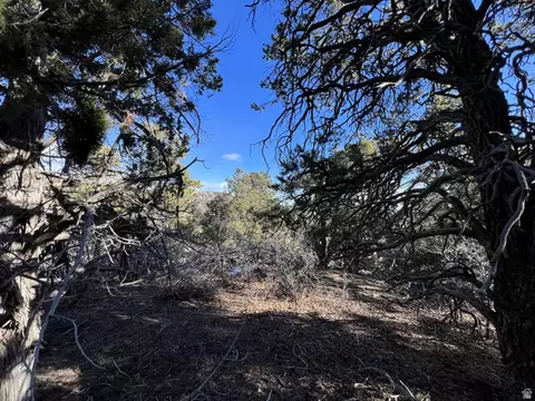 39 Upper Lick Rd #39, Kanab, UT 84741 photo 23