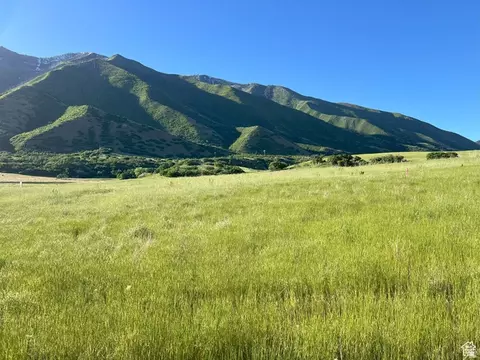 504 E Mapleton Canyon Dr #35, Mapleton, UT 84664 photo 3