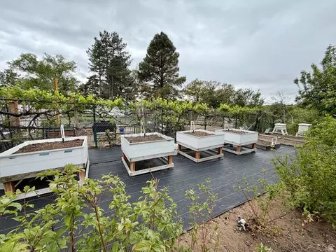Other - 2205 E Sunset Dr, Layton, UT 84040 photo 11 of 12