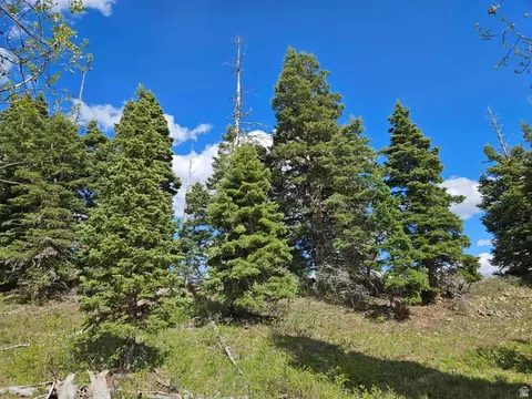 50 E Thads Peak Dr S #J50, Fairview, UT 84629 photo 4