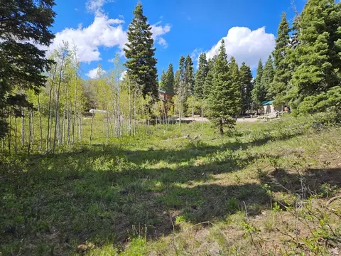 79 E Thads Peak Dr S #J50, Fairview, UT 84629